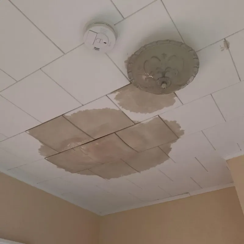 Ceiling Water Damage Repair in Strafford, MO