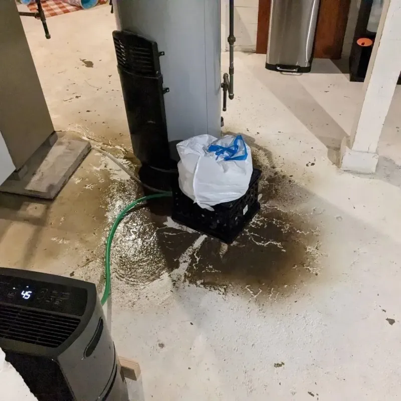 Sewage Backup Cleanup Service in Strafford, MO